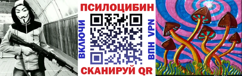 Галлюциногенные грибы Cubensis  Купить где  Минеральные Воды 